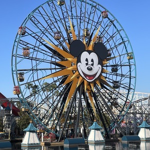 Fundraising Page: Mercedes Anderson